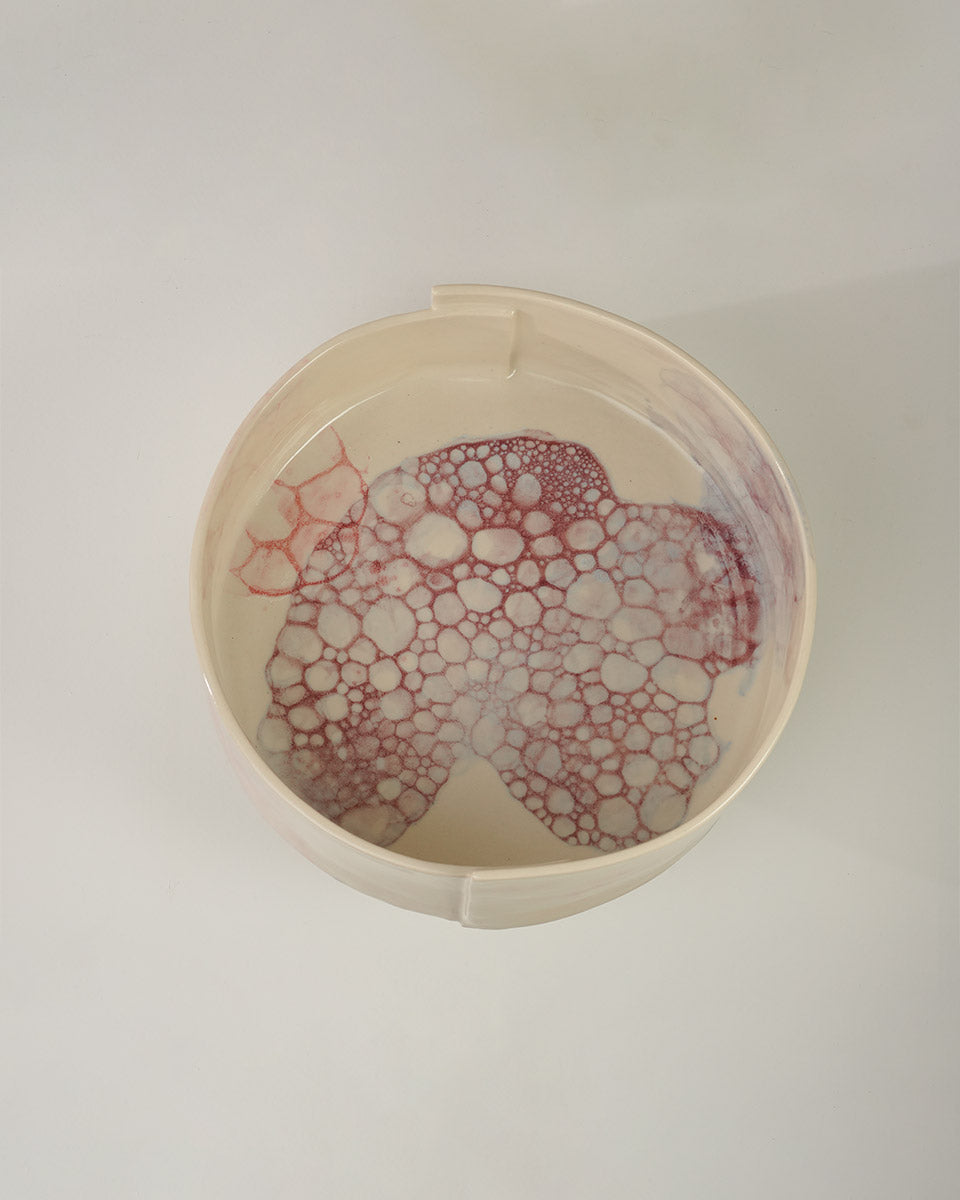 ELDERBERRY