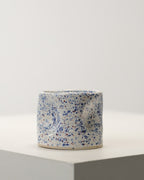 SPECKLED PATRIOT