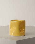 MELLOW YELLOW