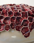 ROSETTE