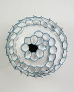 CORALUNE